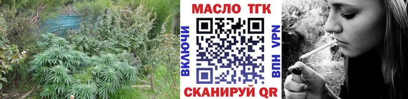 Купить где Сегежа ТГК гашишное масло