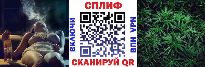 Канабис план Сегежа